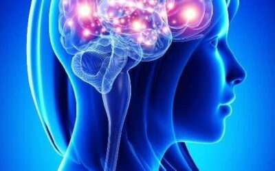 Notre corps se souvient