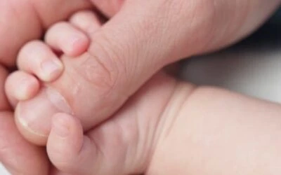 The Power of Touch