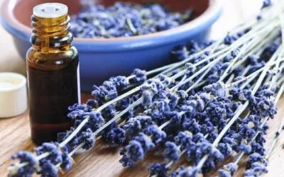 Essential oils Self Care Tips