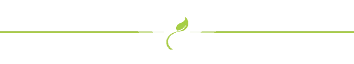 line-separator-green